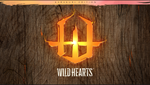 WILD HEARTS | PS5 | Турция  - изображение № 4