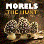 Morels: The Hunt | Epic Games (EGS) | PC