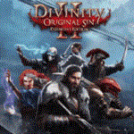  Divinity: Original Sin 2  STEAM/СТИМ ТУРЦИЯ | ПК