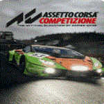 Assetto Corsa Competizione STEAM ТУРЦИЯ | ПК