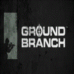 GROUND BRANCH STEAM/СТИМ GIFT ТУРЦИЯ | ПК