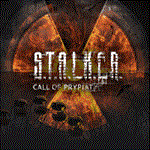 S.T.A.L.K.E.R. Трилогия | PS4/PS5 | Турция