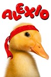 Alexio XBOX Быстрая доставка