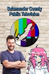 Salamander County Public Television XBOX Быстро