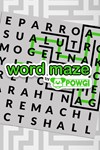 Word Maze by POWGI XBOX Быстрая доставка