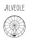 Alveole XBOX Быстрая доставка