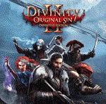 Divinity Original Sin 2  PS4/PS5/ПС Турция