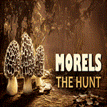 ️ Morels: The Hunt 2 ️ ПК Эпик Геймс EGS ️