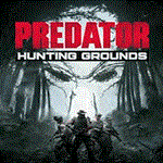 Predator: Hunting Grounds / Хищник️PS5/ПС Турция