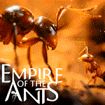 ️Empire of the Ants / Империя муравьев️Эпик Геймс EGS