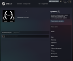 STEAM АККАУНТ КАЗАХСТАН ( с балансом/полный доступ ) - изображение № 3