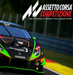 ️ Assetto Corsa Competizion (PS4/RU) П1 Оффлайн