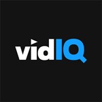 VidIQ Boost 1 месяц частного