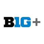 BIG TEN PLUS BASEBALL 3 МЕСЯЦЕВ ГАРАНТИЯ 