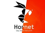   ???? Hornet Premium 1 месяц   ???? - изображение № 3