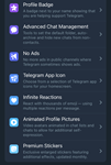  Telegram PREMIUM  3/6/12 месяцев  Подарком ️ - изображение № 3