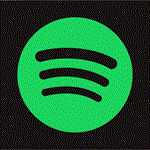  3/6/12 МЕСЯЦЕВ | SPOTIFY PREMIUM Индивидуальный 