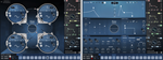 Waves Flow Motion FM Synth