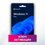 Windows 11 Professional OEM ️