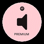 1/2/3/6/12 месяцев Spotify Premium ИНДИВИДУАЛЬНО