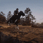  Red Dead Redemption 2  STEAM GIFT  - изображение № 3