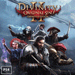  Divinity: Original Sin 2   PS4  | Турция PS