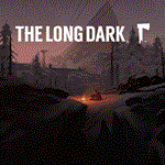 The Long Dark  Турция PS4  PS