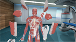  Human Anatomy VR для Pico VR - изображение № 6