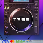 Tribe XR | DJ in VR для Pico VR