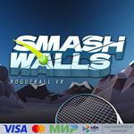  Smash Walls: RogueBall MR для Pico VR