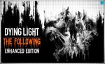  Dying Light: The Following (PS4/PS5/RU) П3 Активация