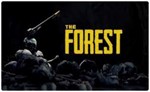  Forest (PS4/PS5/EN) П3 - Активация