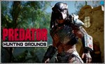 Predator: Hunting Grounds (PS4/PS5/RU) П3 Активация