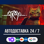 Stray STEAM GIFT АВТОДОСТАВКА