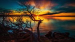 Обои природа для рабочего стола (ПАК 46 шт) - изображение № 3