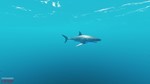 Stranded Deep + 8 ИГР |EPIC GAMES|ПОЛНЫЙ ДОСТУП + БОНУС - изображение № 12