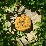Cookie Clicker Soundtrack DLCSTEAM RU️АВТО - изображение № 2