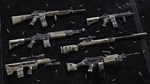 Insurgency: Sandstorm - Worn Veteran Weapon Skin Set - изображение № 3