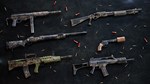 Insurgency: Sandstorm - True Grit Weapon Skin Set - изображение № 2