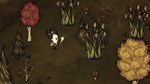 Don't Starve Together: Starter Pack 2021 DLCSTEAM - изображение № 4