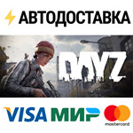 DayZSTEAM РФ/СНГ/УКР/КЗ ️АВТО