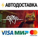 StraySTEAM Россия️АВТОДОСТАВКА