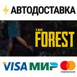 The ForestSTEAM РФ/СНГ/УКР/КЗ ️АВТО