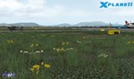 X-Plane 11 - Add-on: FSDG - Graz DLCSTEAM RU️АВТО - изображение № 7