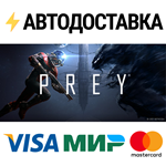 PreySTEAM Россия️АВТОДОСТАВКА