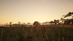 Animalia SurvivalSTEAM Россия️АВТОДОСТАВКА - изображение № 2