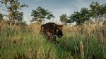 Animalia Skins Pack DLCSTEAM Россия️АВТОДОСТАВКА - изображение № 6