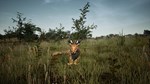 Animalia Survival EggHunt DLCSTEAM RU️АВТО - изображение № 8