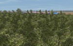 Trainz 2022 DLC - Znamensk-SvirSTEAM РФ/СНГ/УКР/КЗ - изображение № 7