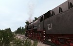 Trainz 2022 DLC - Pro Train: DB Class 44STEAM - изображение № 6